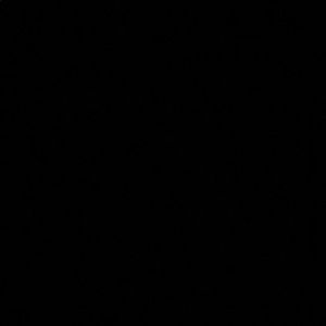 Meet your Posher, Suzannr